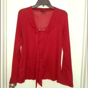 The Limited See Thru Long Sleeve Blouse